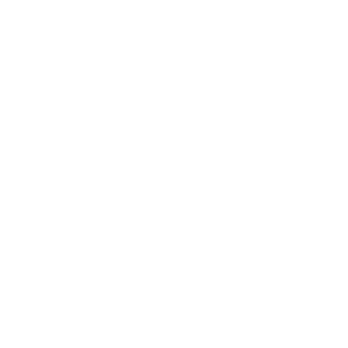 Benaka Electronics White Logo
