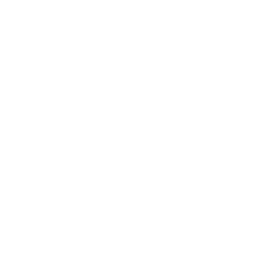 CMI and Co White Logo