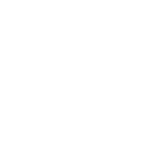 Kempegowda Airport White Logo