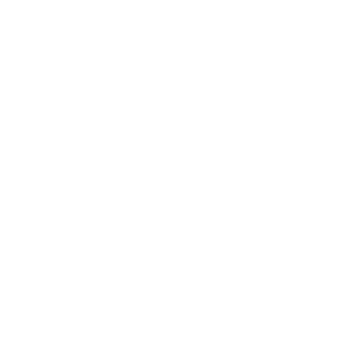 Maspro Sports White Logo
