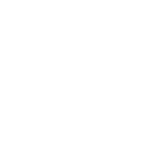 Priyadarshini Filaments White Logo
